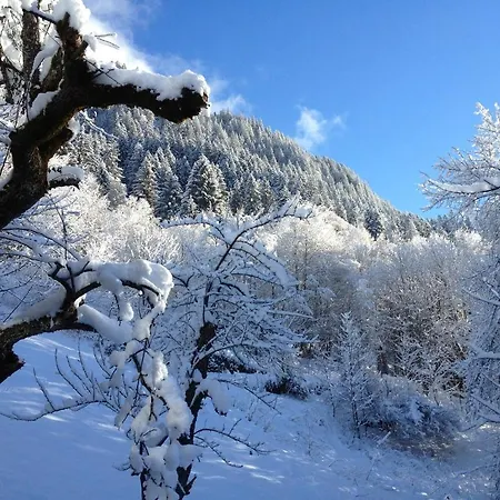 Busch Apartmán Gaschurn