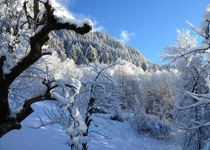 Buesch Apartment Gaschurn